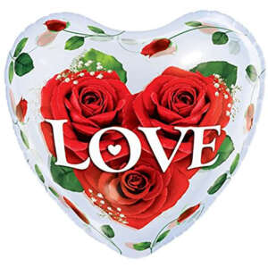 20" HRT SINGLE BUBBLE 01CT LOVE ROSES