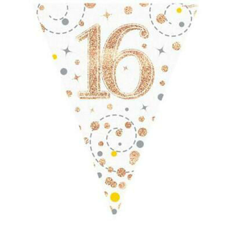 Oaktree Age 16 Rose Gold Fizz Bunting 3.9m