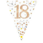 Oaktree Age 18 Rose Gold Fizz Bunting 3.9m
