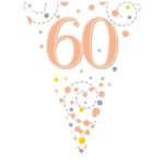 Oaktree Age 60 Rose Gold Fizz Bunting 3.9m