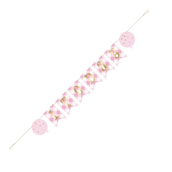Unique Age 1 Pink Gingham Letter Banner 1.82m