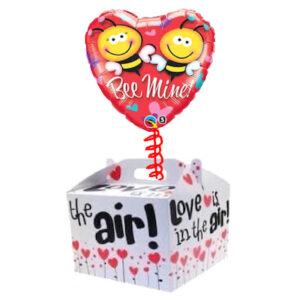 Valentine's Day Balloon in a Box