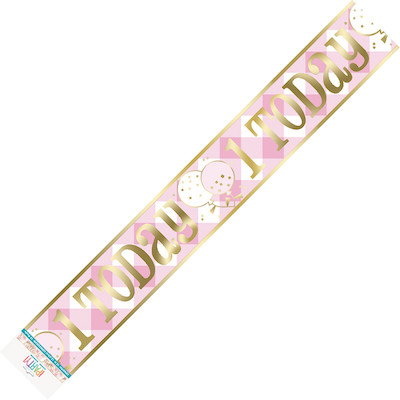 Unique Age 1 Pink Gingham Banner 3.65m