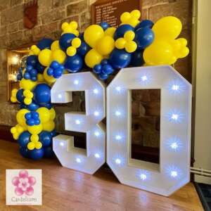 LED Light Up Numbers *Number 30 - THIRTY*