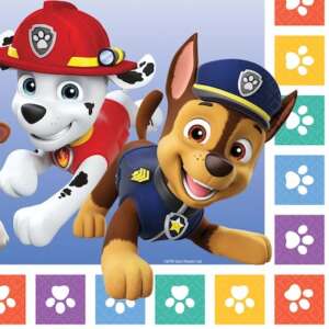 Amscan Paw Patrol Rainbow Napkins 16ct