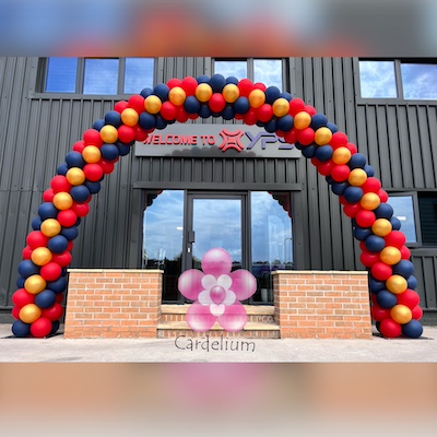 Aeropole Balloon Arch - Image 3
