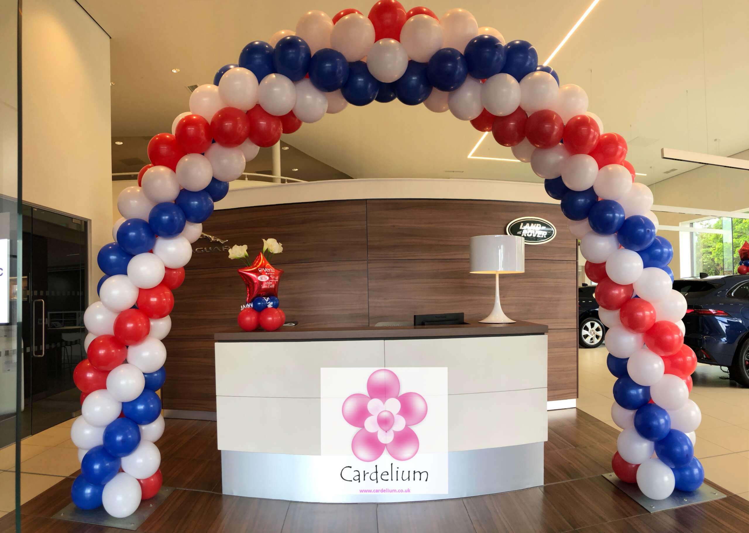 Aeropole Balloon Arch - Image 7