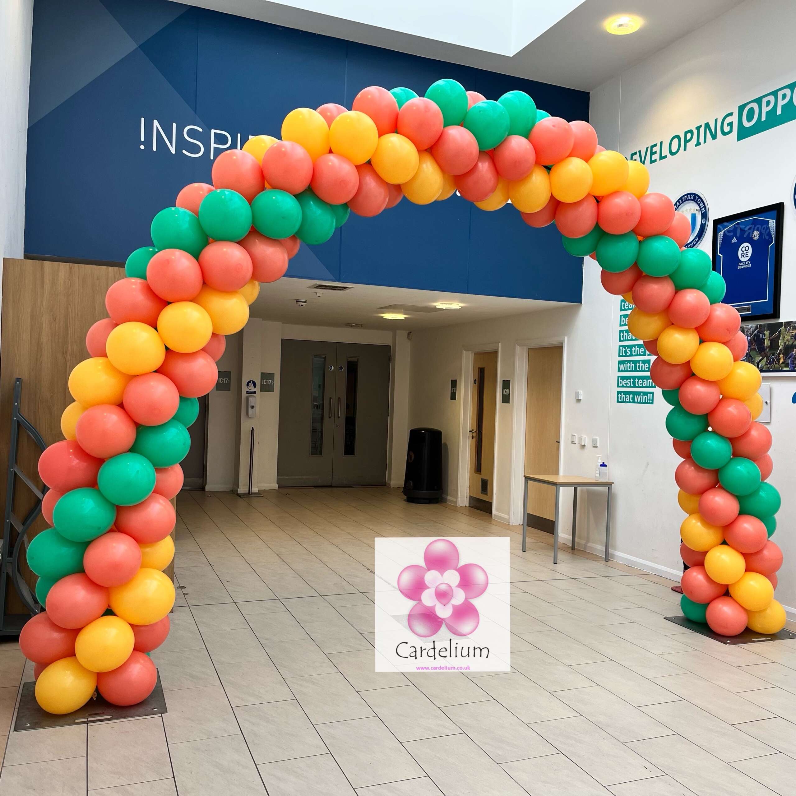 Aeropole Balloon Arch - Image 6
