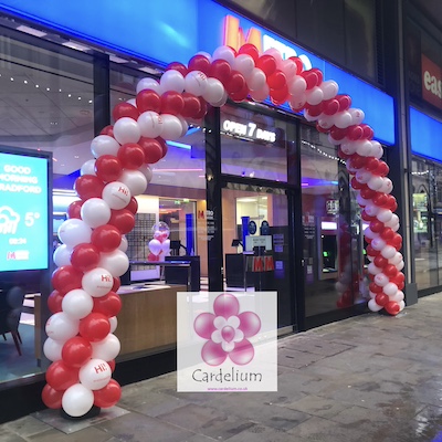 Aeropole Balloon Arch - Image 2