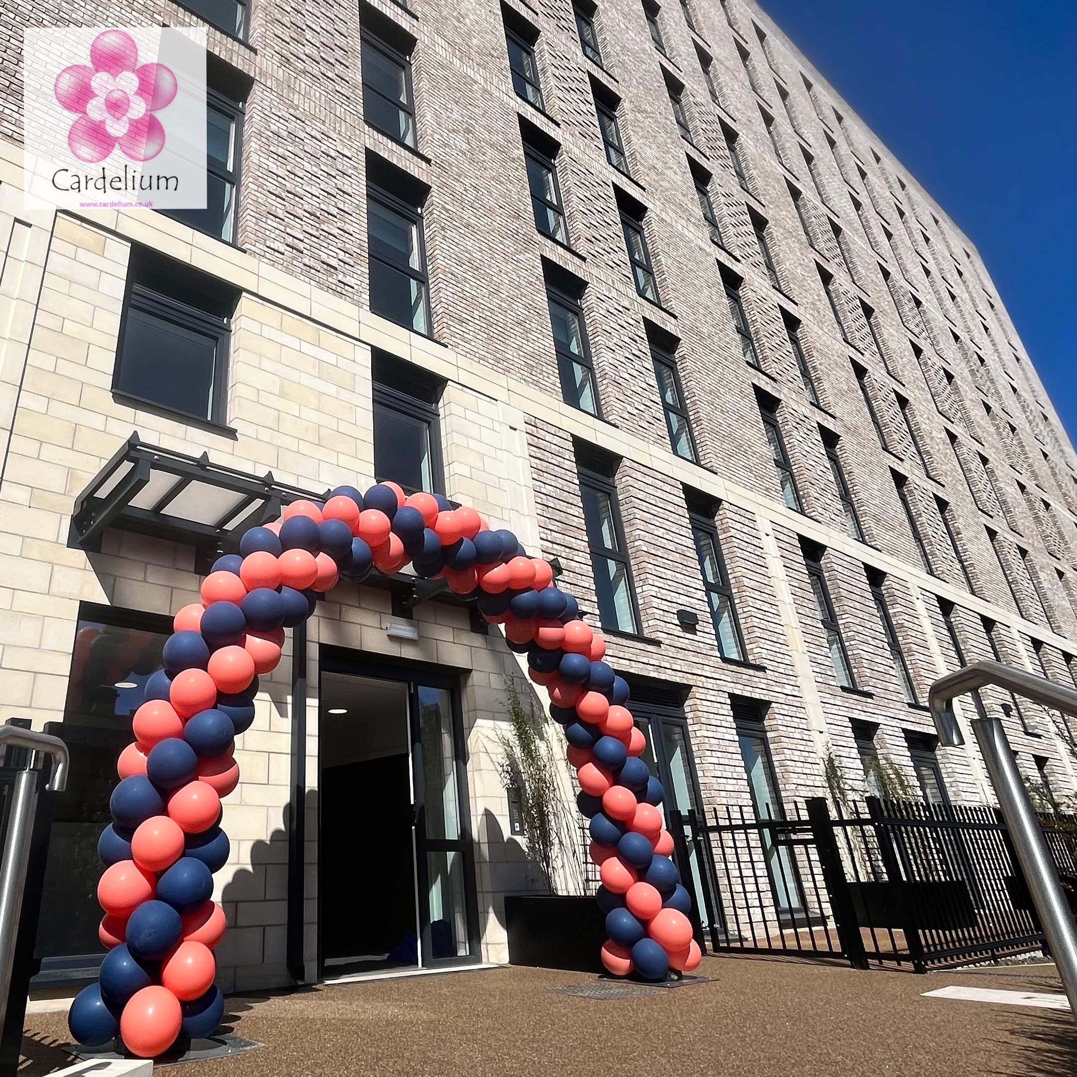 Aeropole Balloon Arch - Image 4