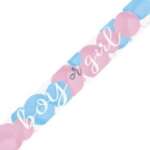 Unique Boy or Girl Gender Reveal Banner 2.74m