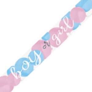 Unique Boy or Girl Gender Reveal Banner 2.74m